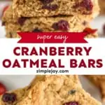 Cranberry Oatmeal Bars - 94