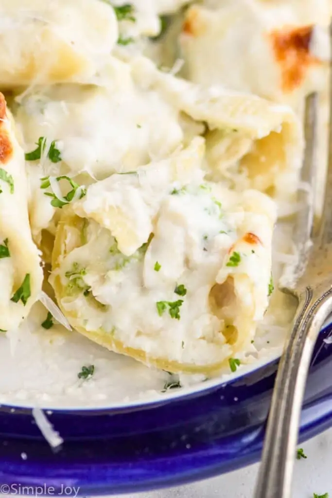 close up view of alfredo stuffed shells cut in half