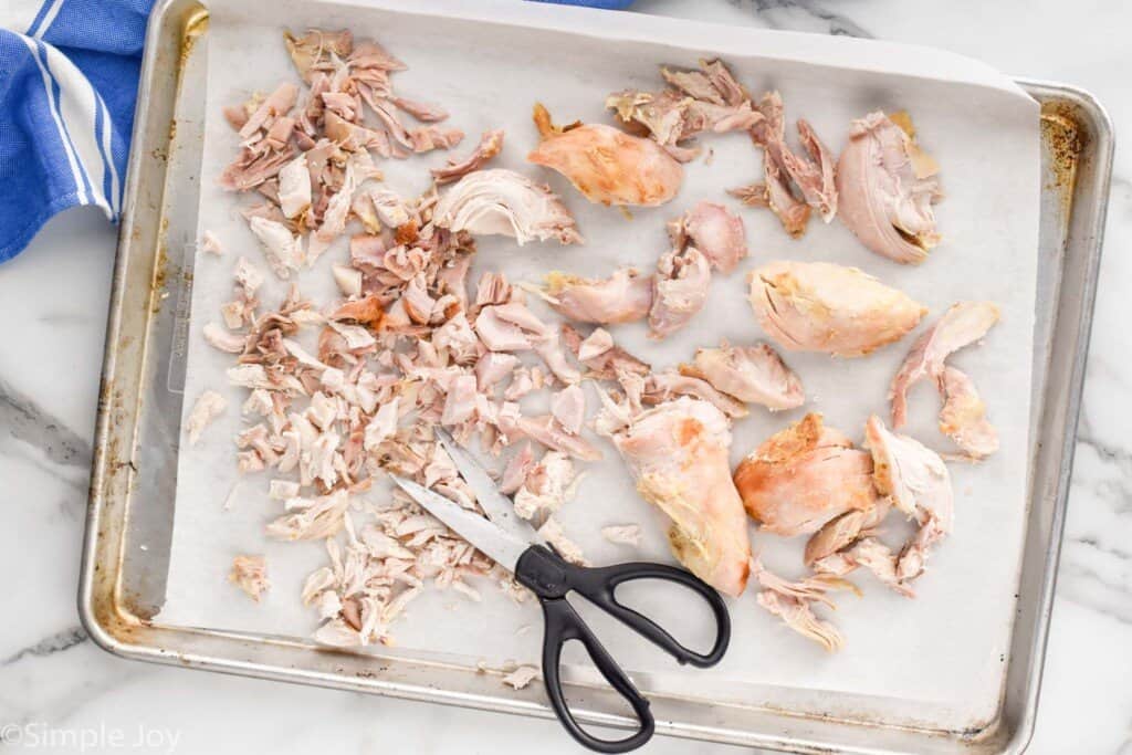 overhead of chicken being cut up on a rimmed baking sheet with kitchen scissors demonstrating freezing cooked chicken