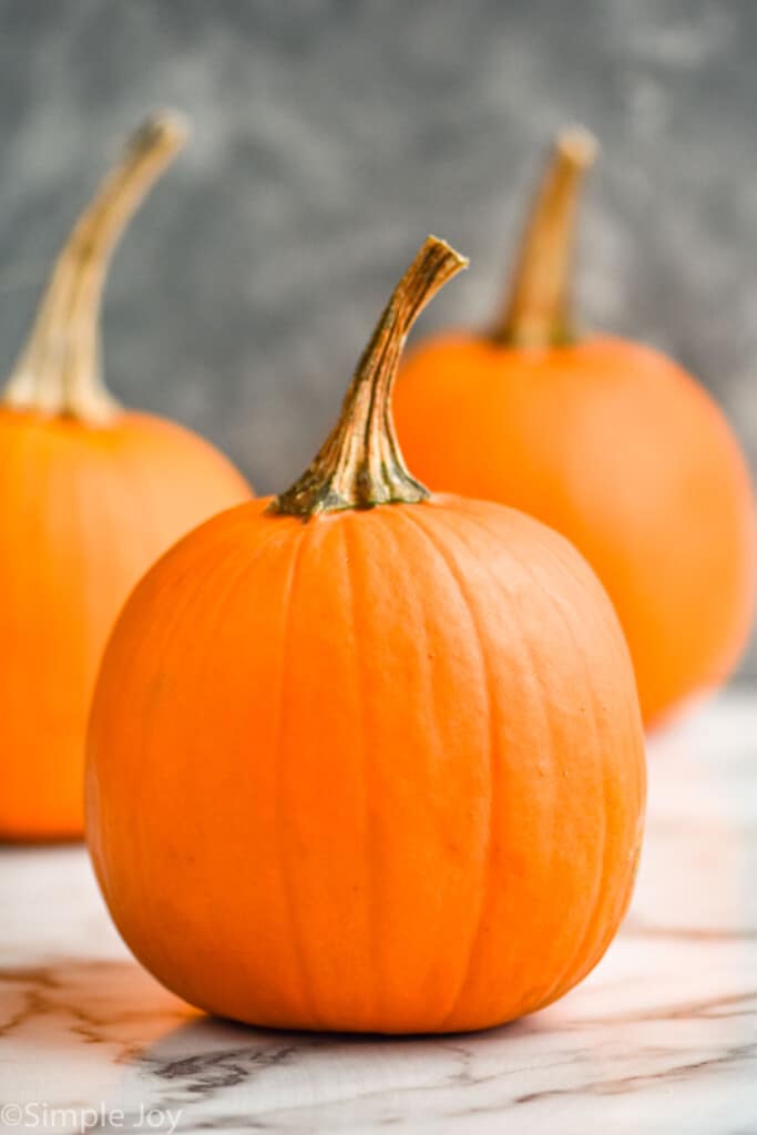 close up of a pie pumpkin