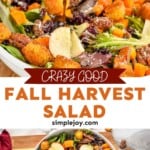 Pinterest graphic of fall harvest salad