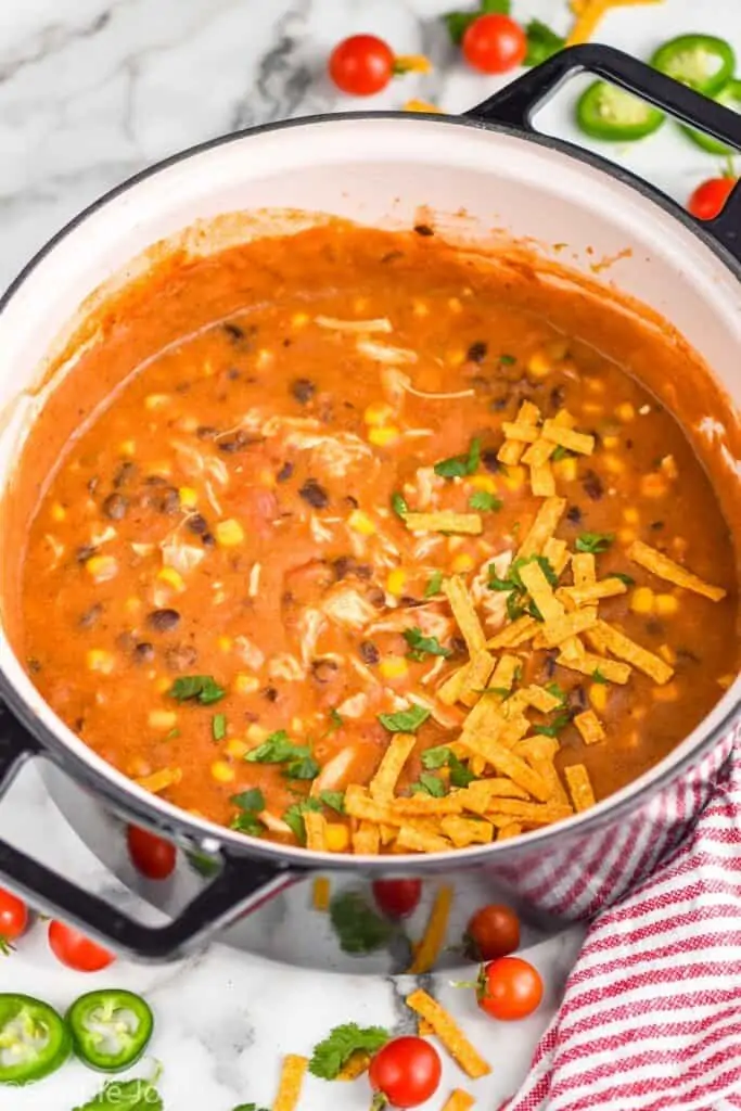 side view of a stock pot full of chicken enchilada soup recipe