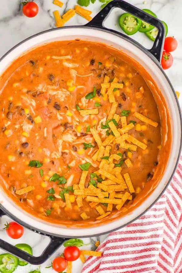 overhead of a stock pot full of chicken enchilada soup