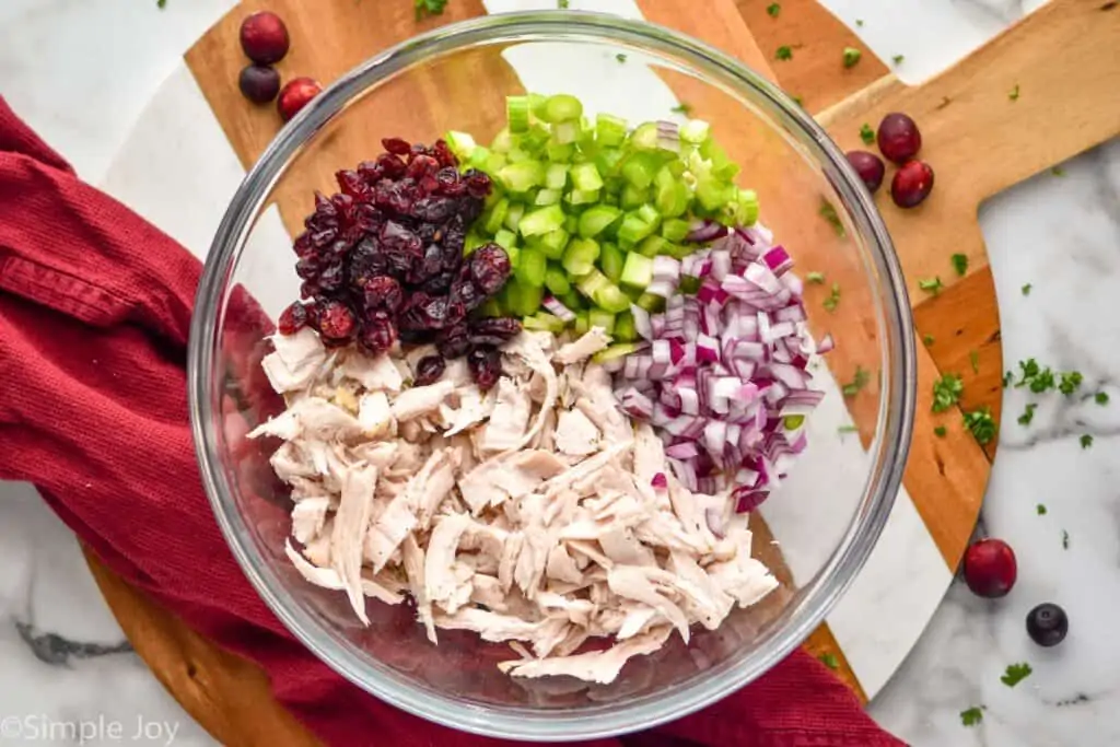 overhead of cooked turkey, dried cranberries, red onion, and celery in a bowl