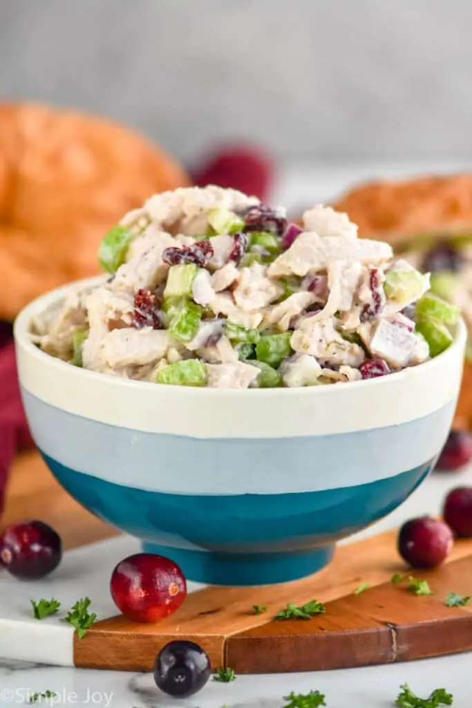 small bowl of turkey salad