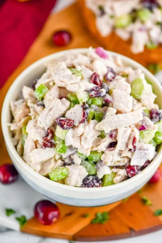 overhead of small bowl of turkey salad