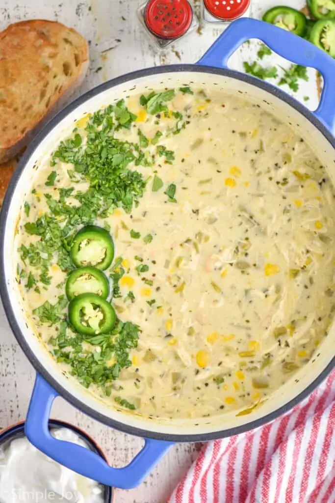 overhead of a pot of white bean chicken chili