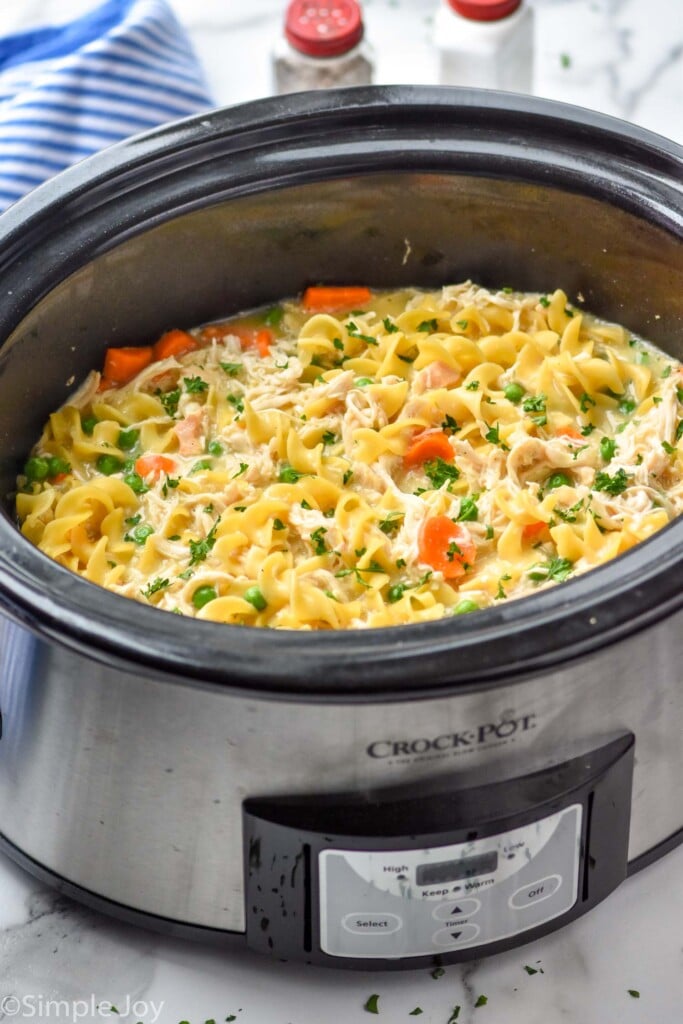 side view of chicken and noodles in a crockpot