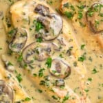 up close of chicken mushroom recipe in creamy sauce