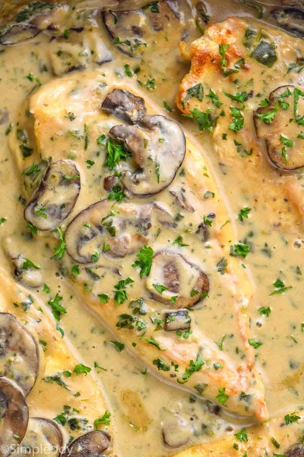 up close of chicken mushroom recipe in creamy sauce