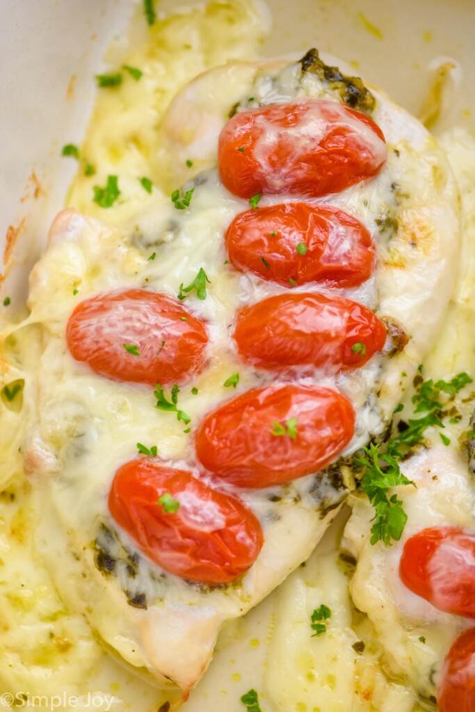 close up of a piece of chicken pesto topped with cherry tomato halves, melted cheese, and parsley