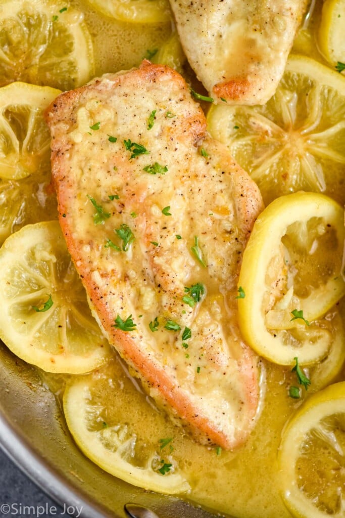 overhead of lemon pepper chicken recipe in a skillet with sliced lemons around it