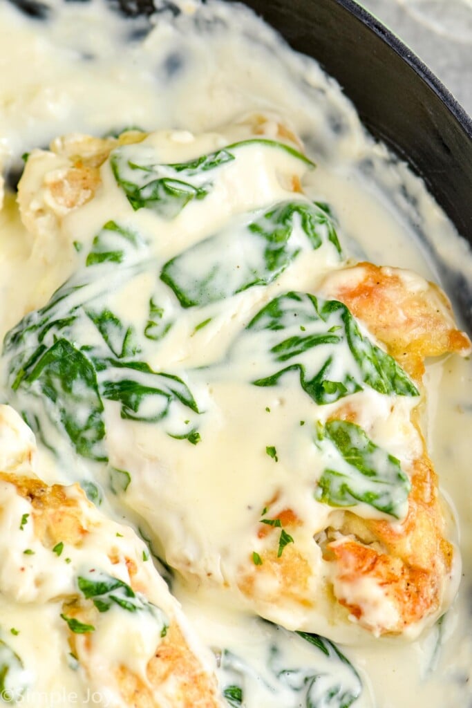 Overhead photo of Chicken Florentine recipe in a skillet.