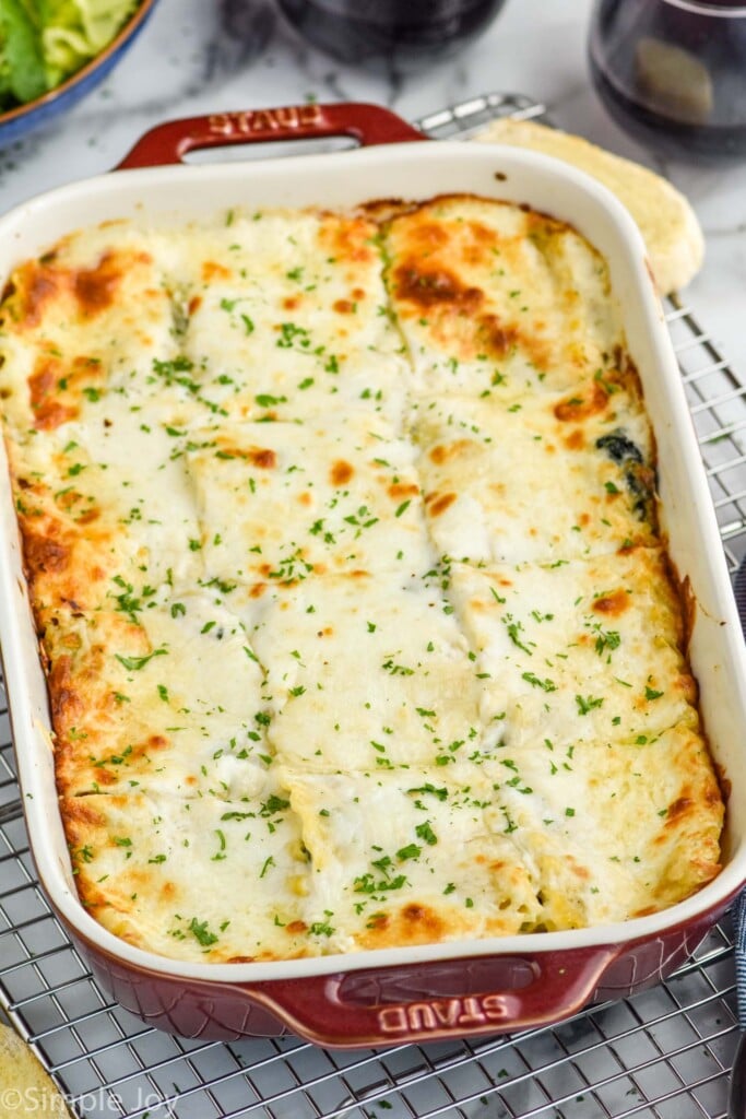 Overhead photo of baking dish Chicken Alfredo Lasagna.