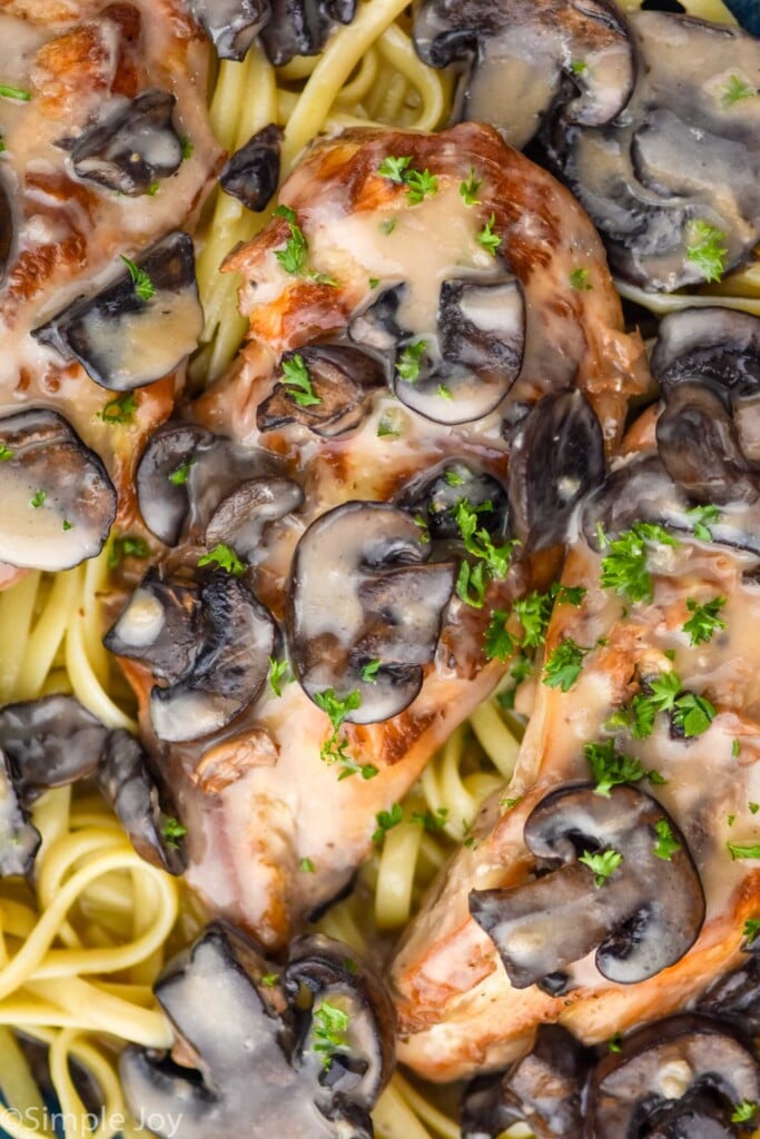 Overhead photo of Crock Pot Chicken Marsala served on a plate of fettuccine pasta.