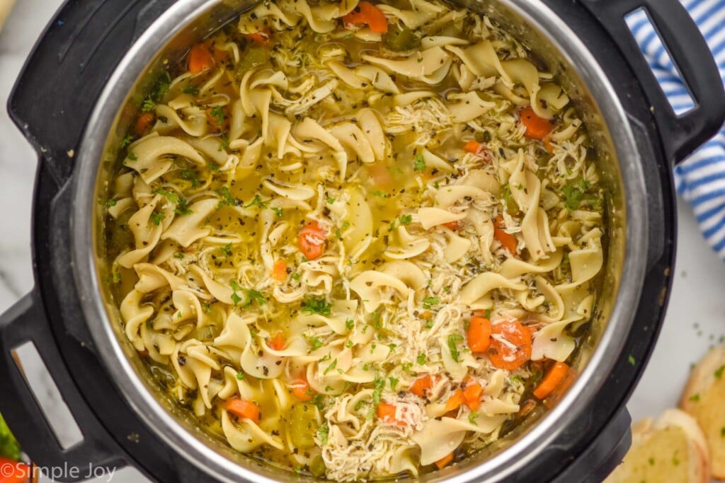 Overhead phot of Instant Pot Chicken Noodle Soup recipe in an instant pot.