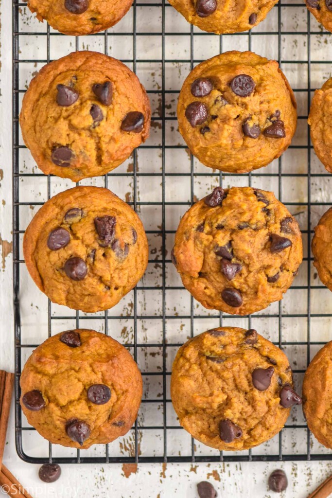 Overhead photo of Pumpkin Chocolate Chip Muffins on a cooling rack.