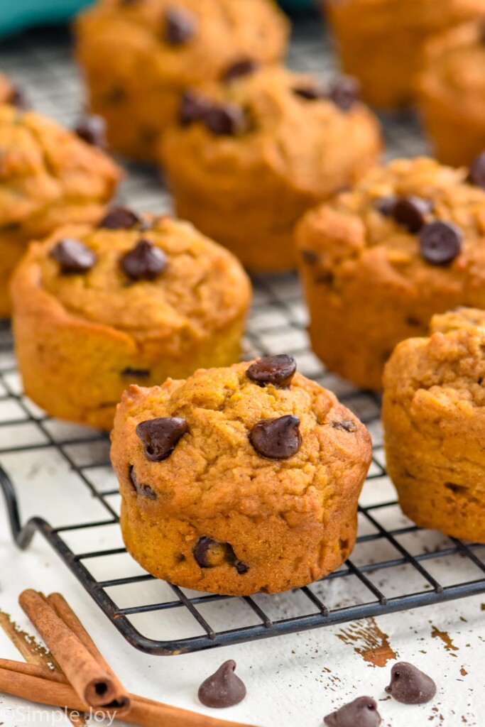 Overhead photo of Pumpkin Chocolate Chip Muffins on a cooling rack.