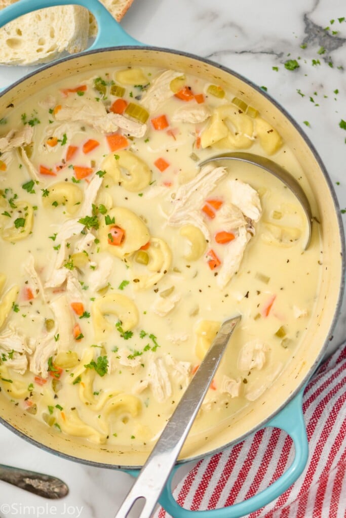 overhead view of pot of chicken tortellini soup with ladle for serving