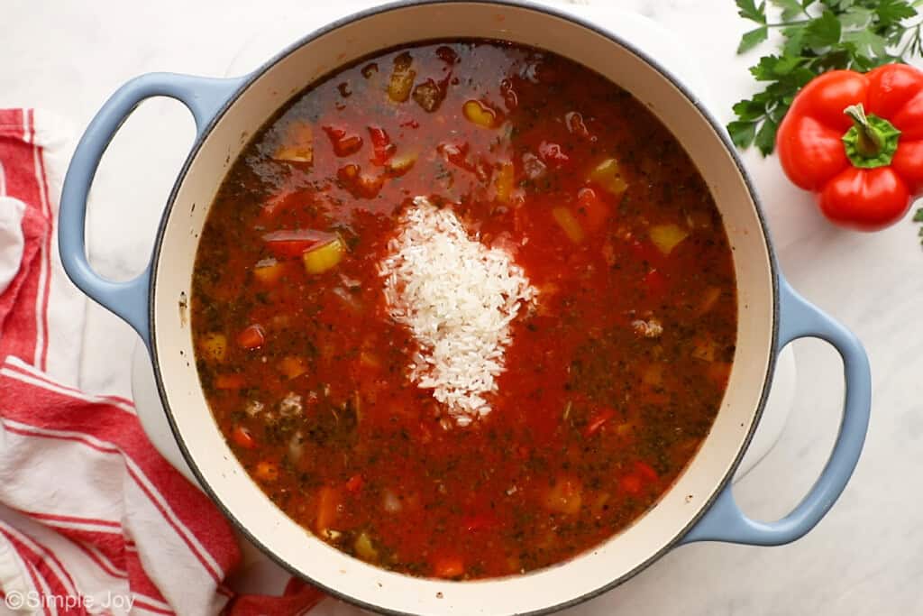 overhead of soup pot with broth and rice