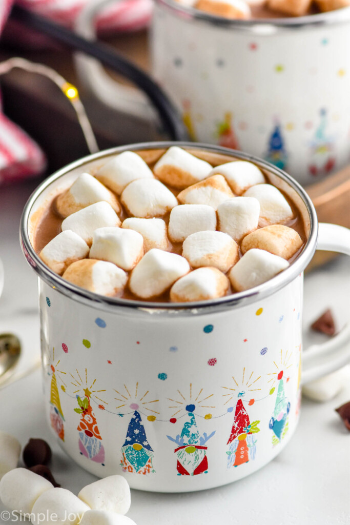 Overhead photo of Crockpot Hot Chocolate in a festive mug with mini marshmallows