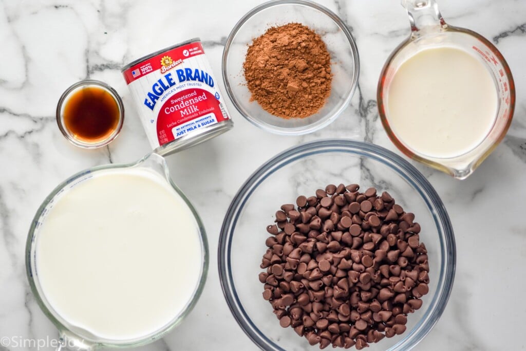 Overhead photo of crockpot hot chocolate ingredients