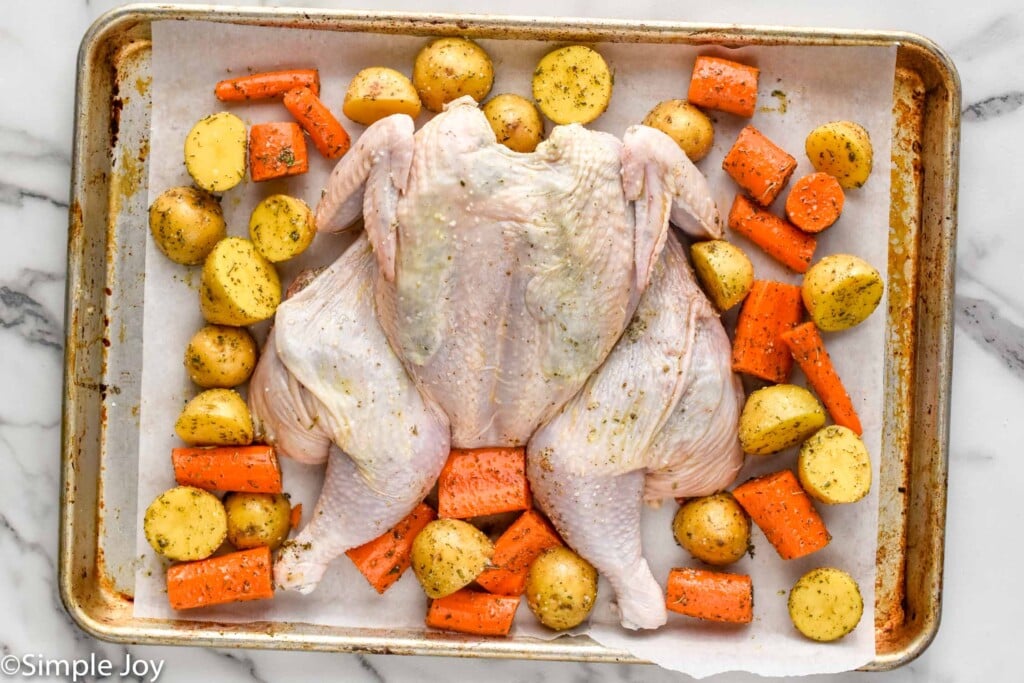 overhead of chicken, carrots, potaotoes on a baking sheet ready for cooking to make a spatchcock chicken recipe