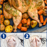 pinterest graphic for spatchcock chicken. Text says "how to: spatchcock chicken 1, 2, 3, 4" Top image shows overhead of prepared spatchcock chicken surrounded by carrots and potatoes, lower images show 4 steps for how to prepare a spatchcock chicken by cutting open and removing backbone.