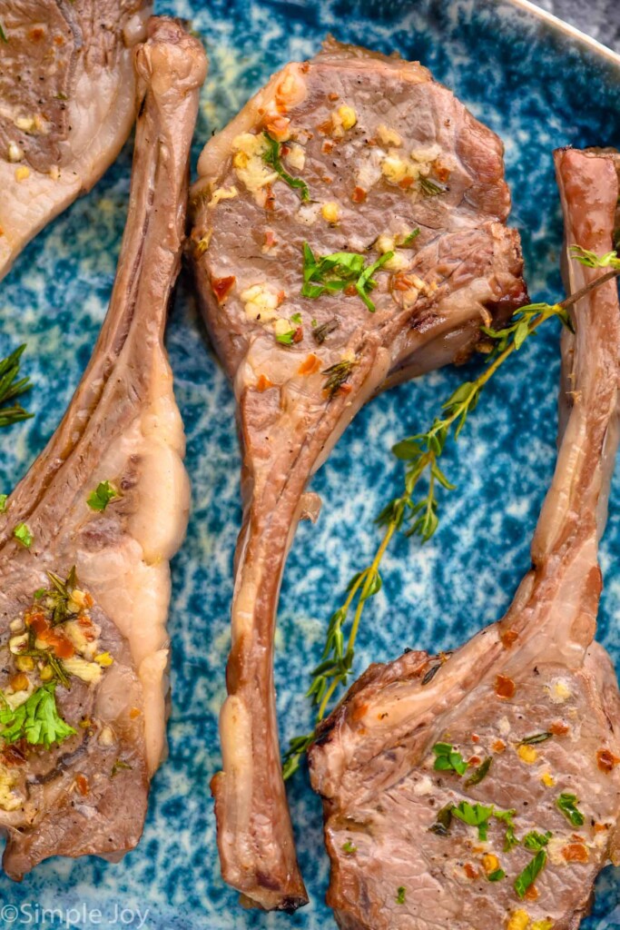 Overhead zoomed in photo of four cooked easy lamb chops on a speckled blue and white plate.