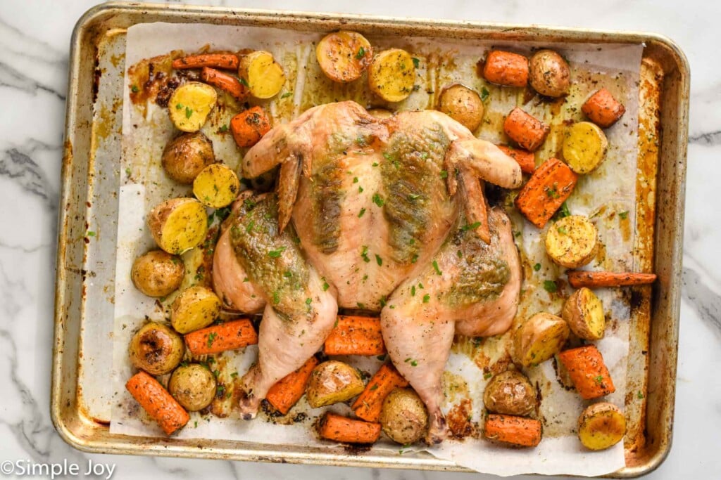Overhead of prepared spatchcock chicken, carrots, and potatoes on baking sheet