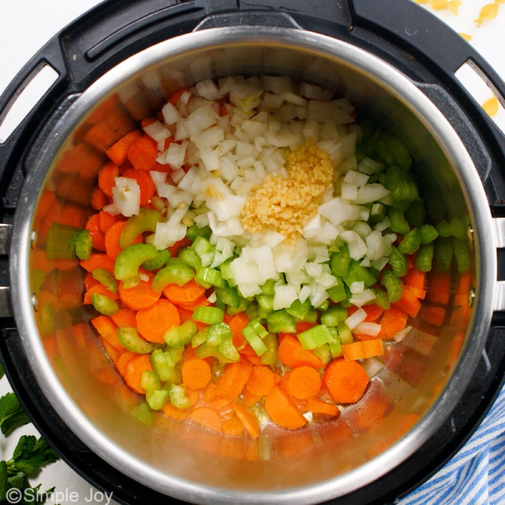 overhead of an instant pot with carrots, celery, onion, and garlic - 5