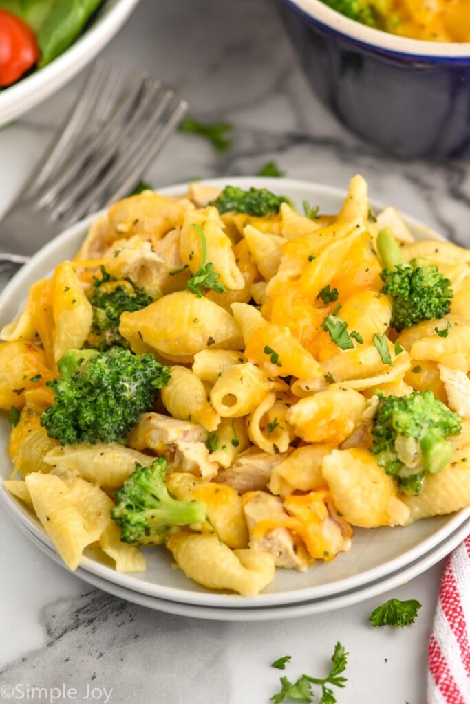 Close up photo of a plate of Chicken Broccoli Noodle Casserole