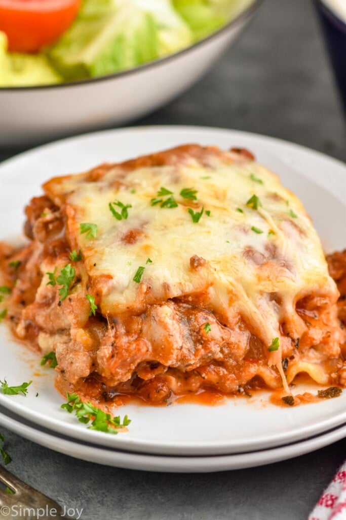 Close up photo of a slice of Homemade Lasagna.