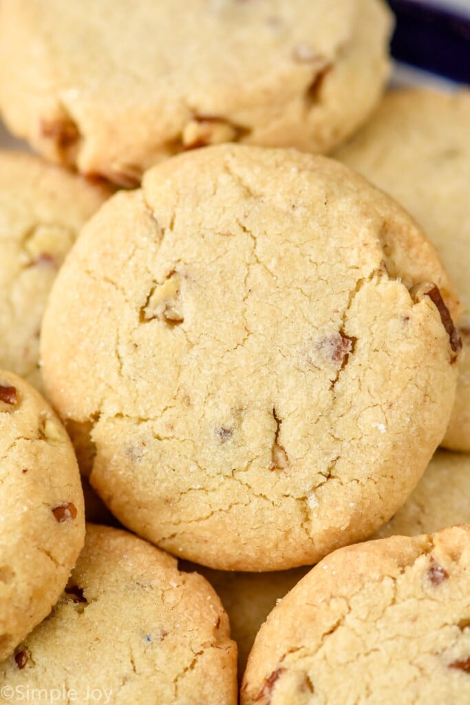 Close up photo of Pecan Sandies