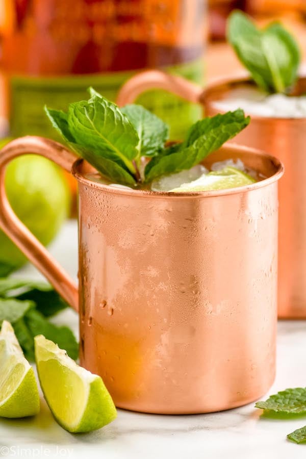 Close up photo of Kentucky Mule served in a copper mug and garnished with mint leaves and lime slices.