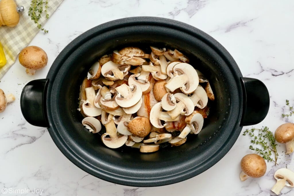 overhead of ingredients for crock pot pork chops in a slow cooker