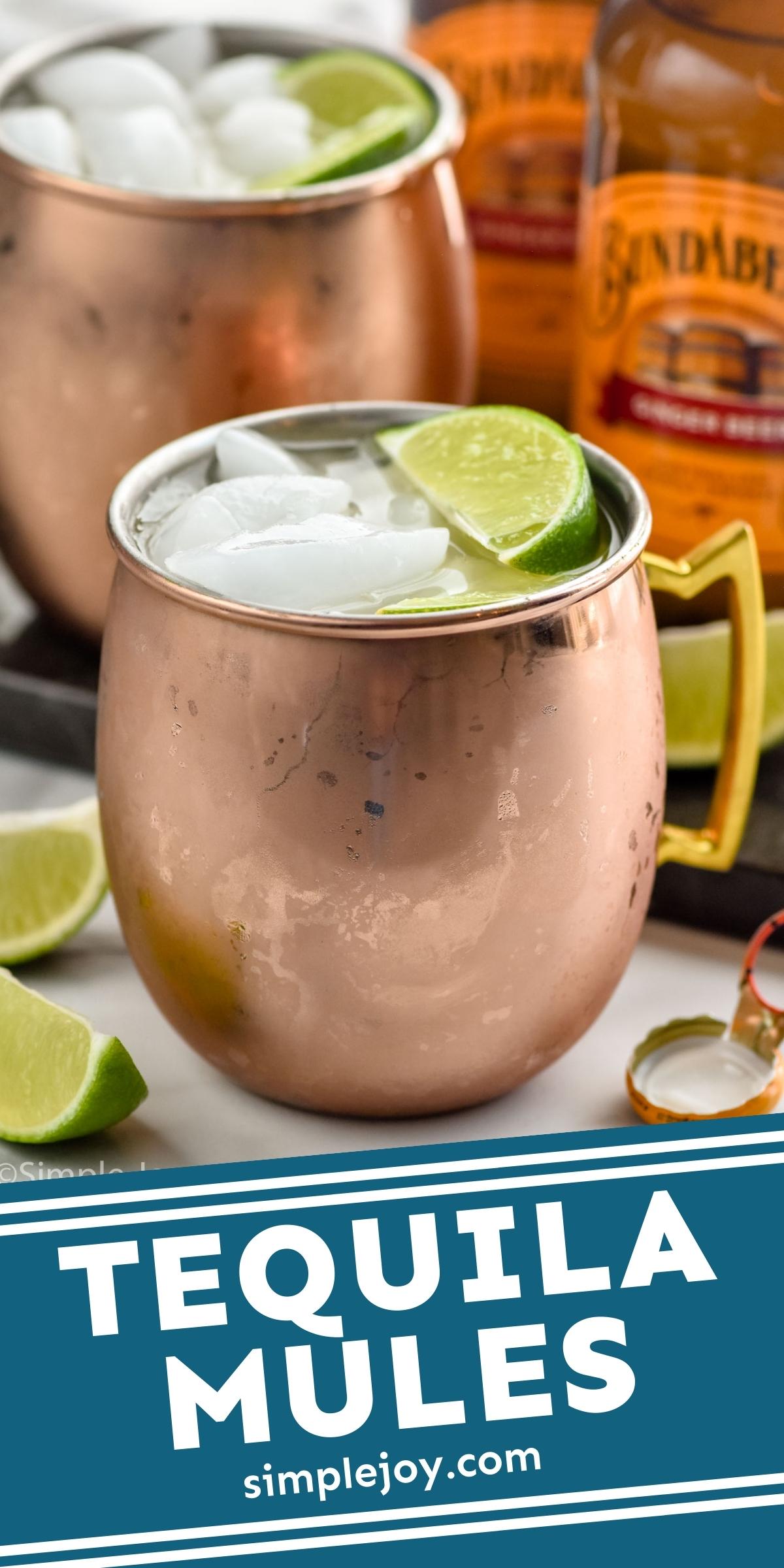 Tequila Mule Simple Joy