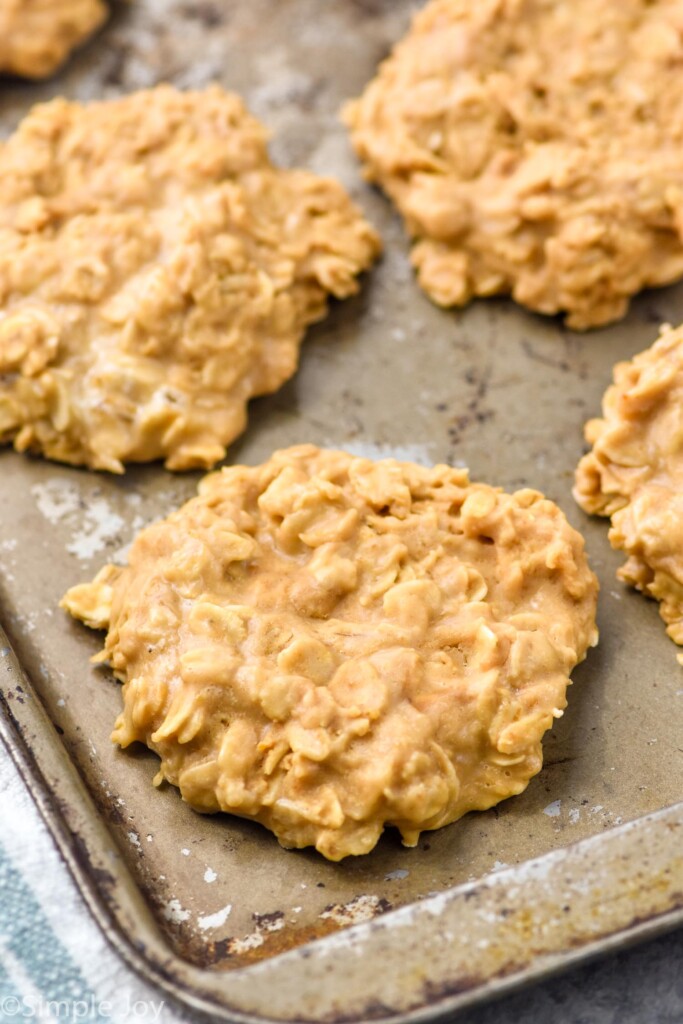 No Bake Biscoff Cookies on a baking sheet