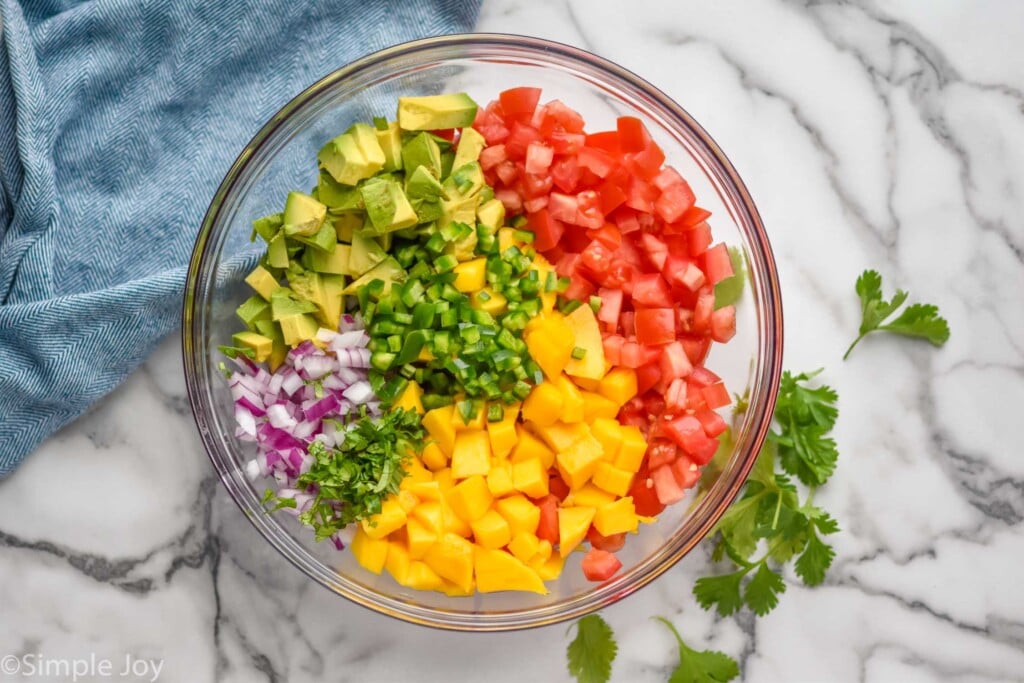 overhead view of bowl of Shrimp Ceviche ingredients