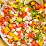 overhead view of Shrimp Ceviche surrounded by tortilla chips