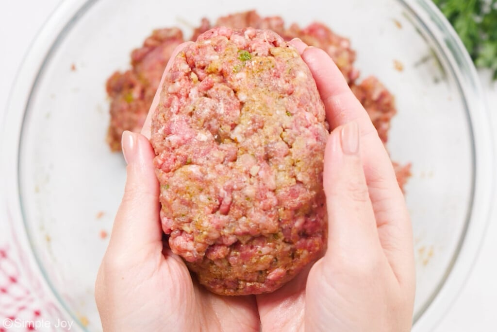 meat formed into a patty to make salisbury steak
