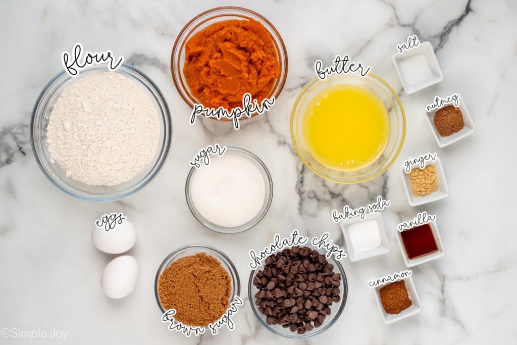 overhead of containers full of ingredients for chocolate chip pumpkin muffins all labeled