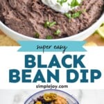Black Bean Dip - 13