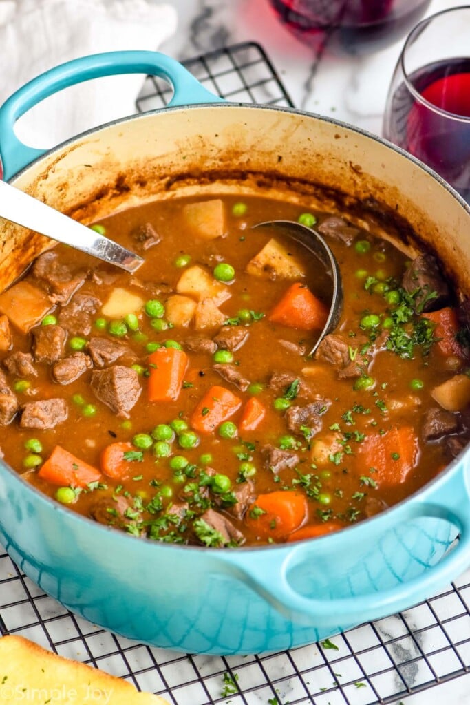 Photo of a pot of Beef Stew with a ladle