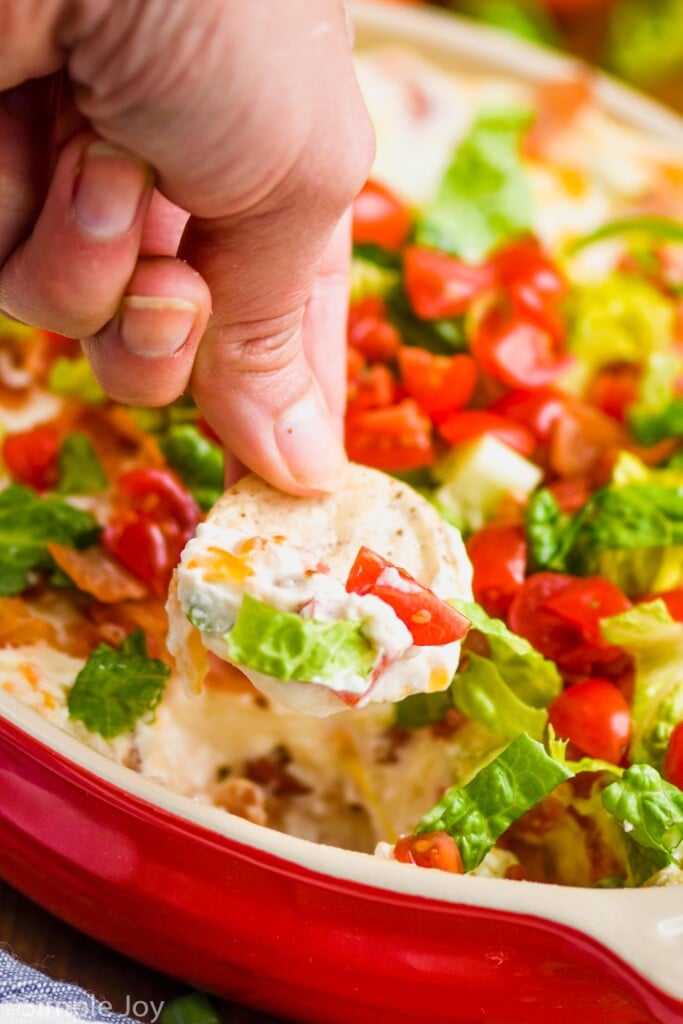 up close view of a hand holding a round cracker that has been dipped in blt dip