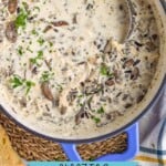 pinterest graphic of overhead of a pot of chicken and rice soup, says: "amazing chicken & wild rice soup simplejoy.com"