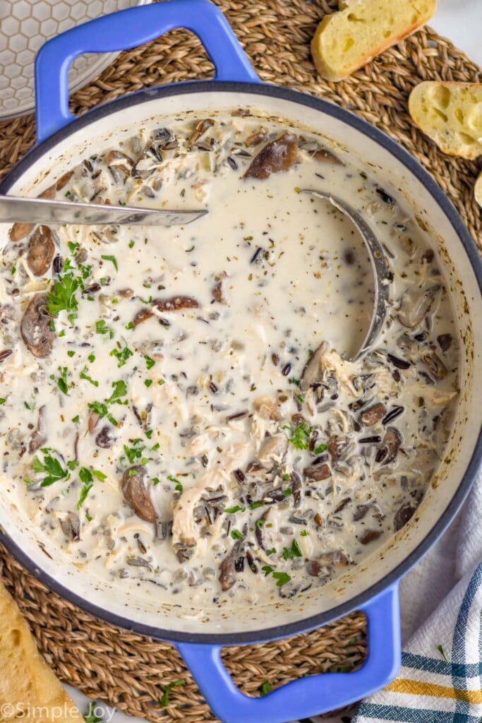 overhead of a pot of chicken and rice soup