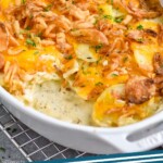 The BEST Scalloped Potatoes Recipe - Celebration Generation