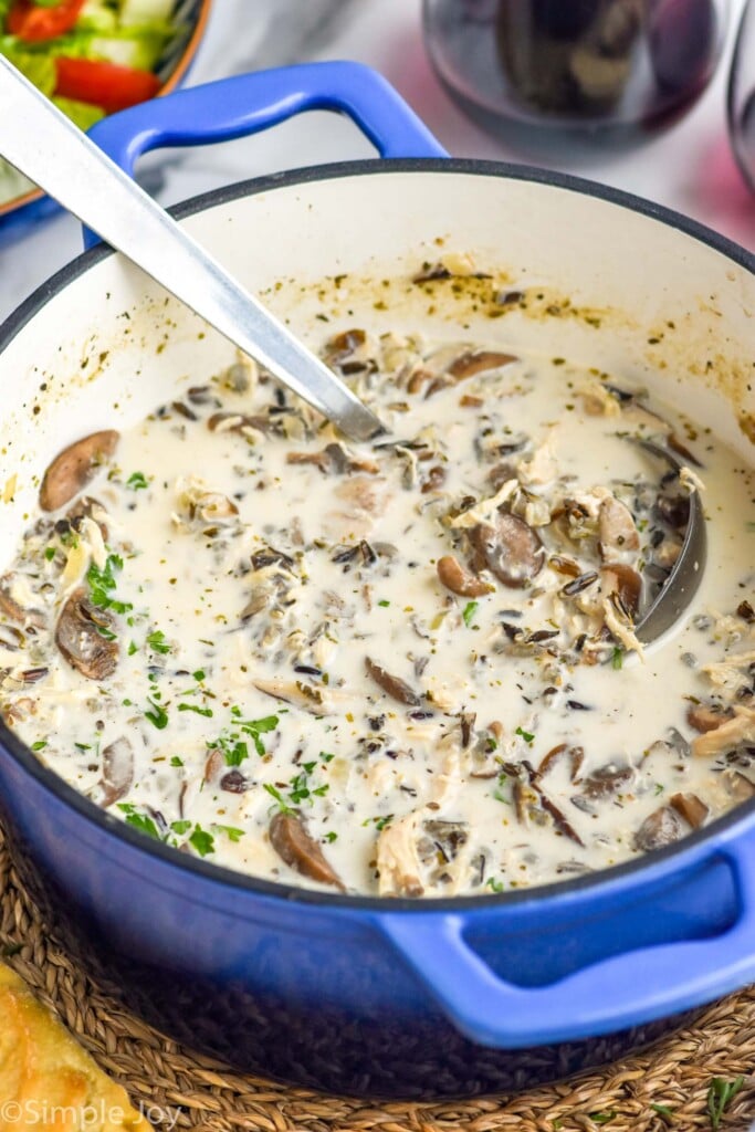 a big pot of wild rice and chicken soup