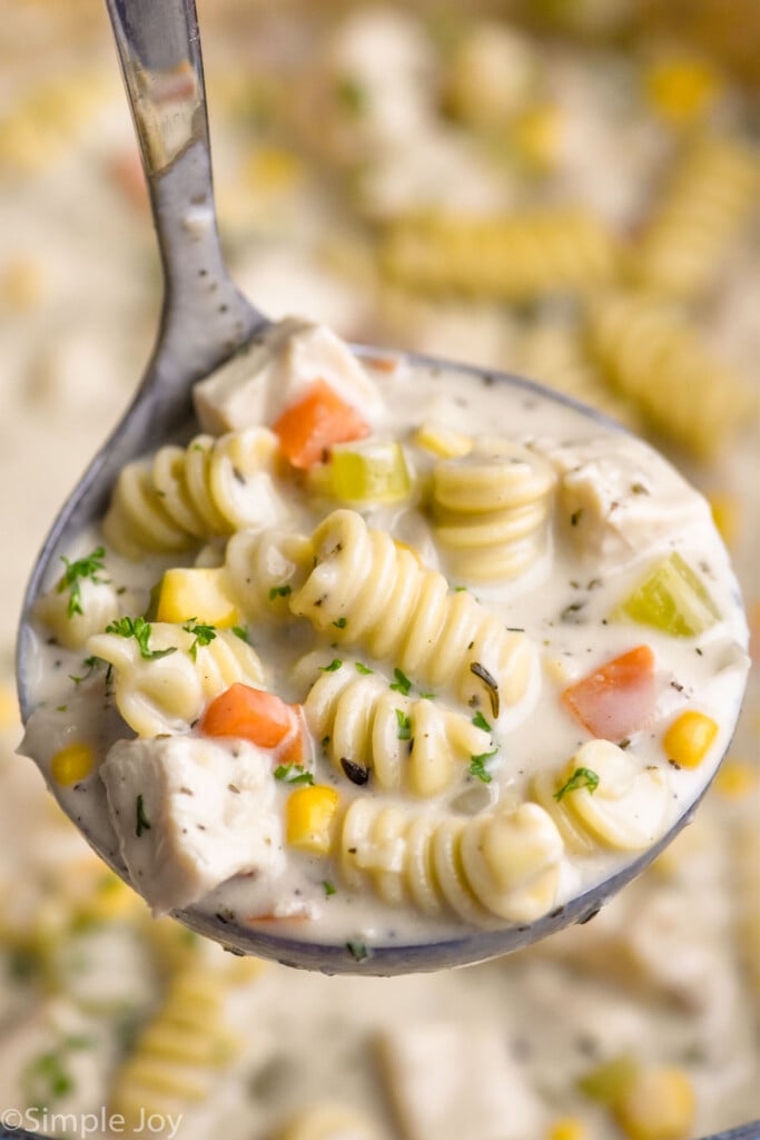 Close up photo of a ladle of Turkey Soup